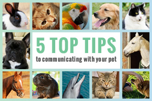 animal communication enews