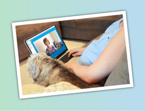 animal communication session skype