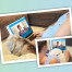 animal communication session